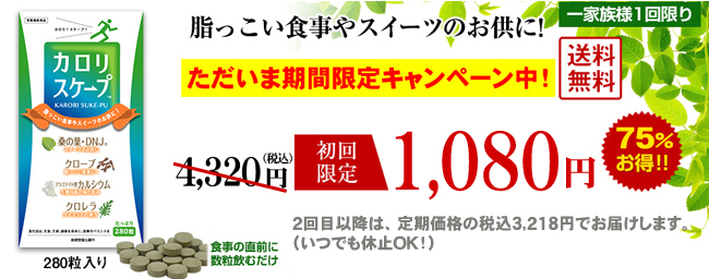 定期初回特別価格